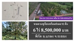 ขายสวนทุเรียนอายุ 5 ปี พร้อมทำผล 6 ไร่ 8.5 ล้านบาท