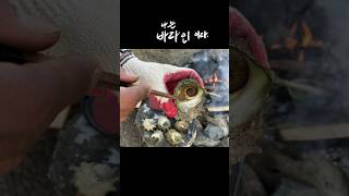 숯불에 구운 소라 까먹는 방법