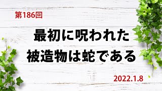 【誘惑】最初に呪われた被造物は蛇である：創世記3章