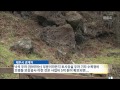 제주mbc 리포트 용두암 관람로 여전히 통제중 김연선