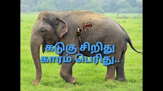 அளவை பார்த்து எடை போடக்கூடாது||Do not weigh by looking at the size.