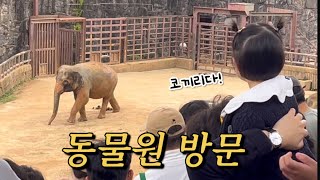 [육아 브이로그] 체육대회 | 서울대공원 | 리솜포레스트에 간 채이!❤️ #17개월아기 #육아브이로그 #아기일상