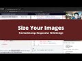 Size Your Images (Basic CSS) freeCodeCamp tutorial