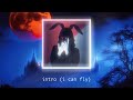 Sanii - intro: i can fly (official audio visualizer)