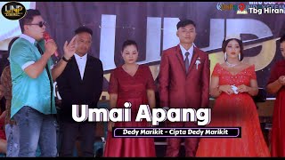 SPESIAL BUAT PANGANTEN - UMAI APANG - Dedy Marikit - LIVE DESA TUMBANG HIRAN