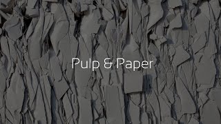 Solutions for the Pulp & Paper Industry