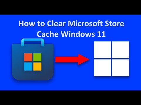 How to Clear Microsoft Store Cache Windows 11