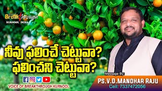 నీవు ఫలించే చెట్టువా? ఫలించని చెట్టువా? Are you a Fruitful Tree? A Fruitless Tree?