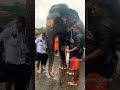 വടക്കുംനാഥന്റെ മണ്ണിൽ കാവേരി എത്തി 🤓 elephant viral love kaveri thrissur pooram keralaelephant