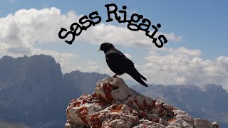 SASS RIGAIS .wmv