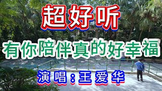 超好听伤感歌曲｜有你陪伴真的好幸福-王爱华