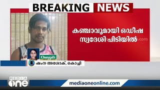 ഏഴ് കിലോ കഞ്ചാവുമായി എറണാകുളത്ത് ഒഡീഷ സ്വദേശി പിടിയിൽ