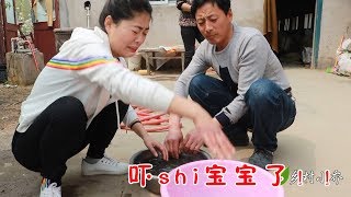 家里烧泥鳅和黄鳝，老爸老妈都不敢碰，这可怎么办？【鄉村小喬】