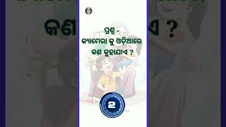 କ୍ୟାମେରା କୁ ଓଡ଼ିଆରେ କଣ କୁହାଯାଏ ? || ଓଡ଼ିଆ ମଜାଦାର ପ୍ରଶ୍ନ 😜😇#trending #shorts #viral #ytshorts