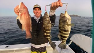 SPOTTED BAY BASS & SHEEPSHEAD Catch and Clean Leaving MEXICO Bluegabe Style