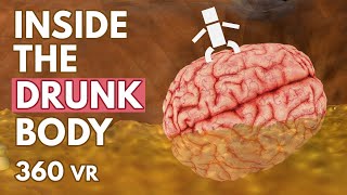 What Happens Inside Your Drunk Body? - VR 360°