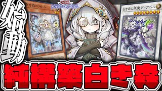 【遊戯王マスターデュエル】 基本の構築だけでも強い！展開ルート3パターン解説！ 『白き森』 【ゆっくり解説】