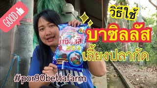 วิธีใช้ #บาซิลลัส ดูจบ ใช้ได้เลย จุลินทรีย์ดี ควรมีติดฟาร์ม #por90bettafarm