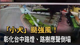 「小犬」颳強風！　彰化台中路燈、路樹應聲倒塌－民視新聞