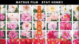 【STAY HOME】島根県松江市から皆様へ〜日本庭園 由志園〜