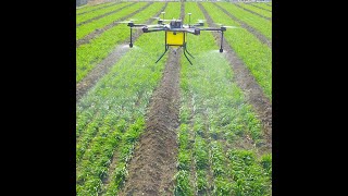 JT 10L-606 sprayer drone for agricultural spraying coffee rice