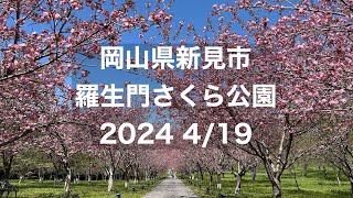 岡山県新見市　羅生門さくら公園