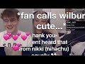 Wilbur “asks” Nikki to call him CUTE? (Wilbur and Nihachu cute Moments)