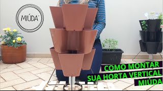 Como montar sua Horta Vertical Miúda