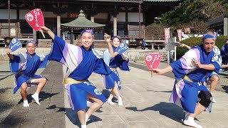 🌱湘南なぎさ連【組踊り】第2回湘南遊行阿波おどり