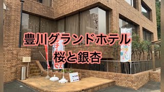 豊川グランドホテル　桜と銀杏