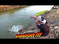 Berasa Mancing Di Kolam Bapak ! Seperti Inilah Gambaran Full Strike Ikan Sultan