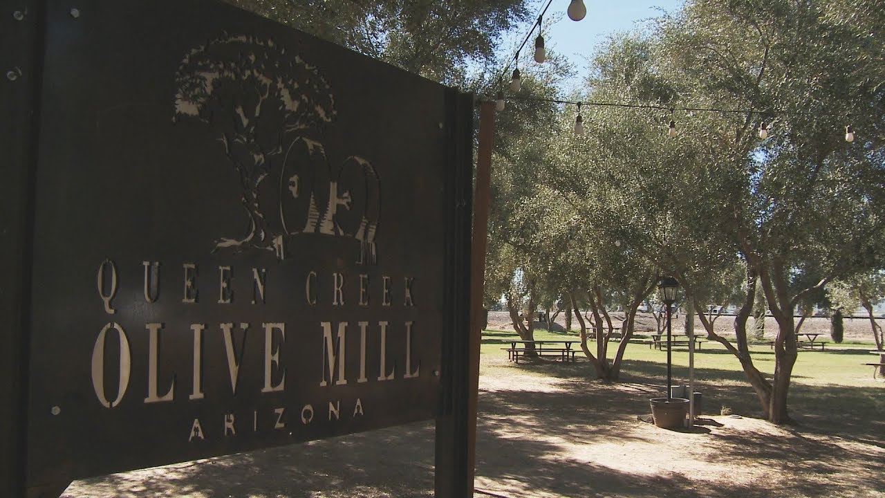 The Queen Creek Olive Mill Youtube