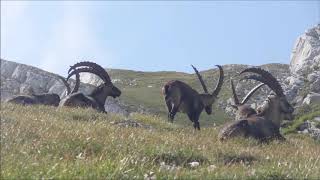 Rando Les 2 Soeurs (massif du Vercors)