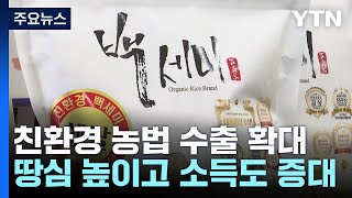 친환경 농법 외국 수출 활짝...땅심 높이고 소득 늘리고! / YTN