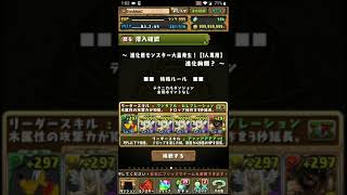 【パズドラ】進化用モンスター大量発生！進化絢爛？（高速周回）