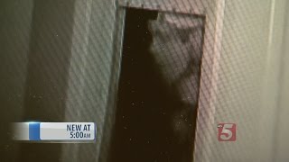 Armed Burglar Uses Doggy Door To Enter Home