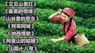 《又见山里红》《最美的情缘》《山谷里的思念》《阿哥阿妹》