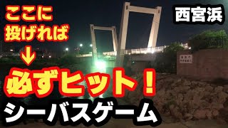 西宮浜 跳ね橋（御前浜橋）シーバス狙い ルアーは、セットアッパースリム ショアジギング