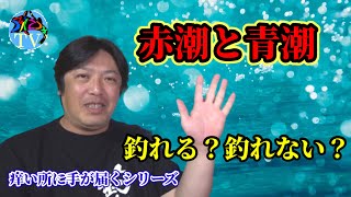 赤潮と青潮シーバス釣れない説、本当はどうなのか？解説致します！