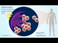 introduction to egfr inhibitors