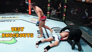 The Most Fantastic KNOCKOUTS #ufc #fight #mma PART 6