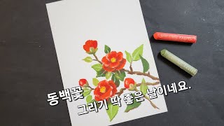 오일파스텔로 동백꽃 그리기. 쉽게 배워보세요. Drawing camellia flowers with oil pastels.