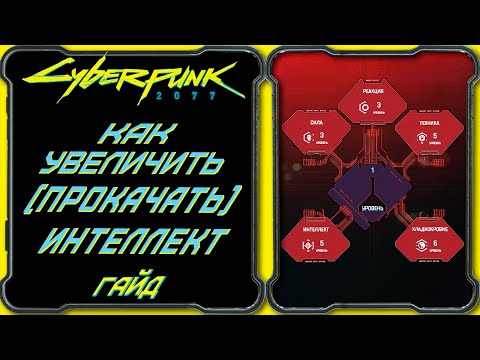 CyberPunk 2077 — Гайд: как увеличить (прокачать, качать) интеллект персонажа как характеристику?