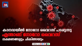 കാനഡയില്‍ നോറോ വൈറസ് പടരുന്നു. എന്താണ് നോറോ വൈറസ്. ലക്ഷണങ്ങളും ചികിത്സയും | MC NEWS