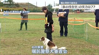 トイプードルなど小型犬も　嘱託警察犬の審査会