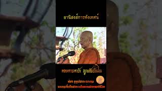 อานิสงส์การฟังเทศน์  #หลวงตามหาบัว_ญาณสัมปันโน #ธรรมะสอนใจ #ธรรมะสุขใจ #shorts