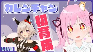 13【#ウマ娘】やっと会えた！カレンチャン初見育成！【＃Vtuber】