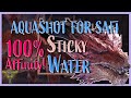 Safi Aquashot Sticky and Water Builds for Safi | MHW: Iceborne [PC]