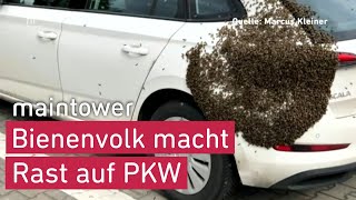 Bienenvolk macht Rast auf Pkw –  Alle folgen der Königin  | maintower