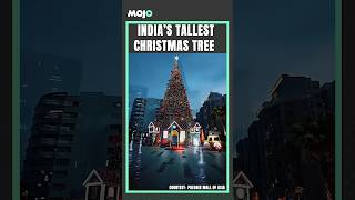 Watch | Christmas Magic | India's Tallest Christmas Tree Spreads The Holiday Spirit In #Bengaluru